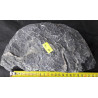 Seiryu stone č. 18
