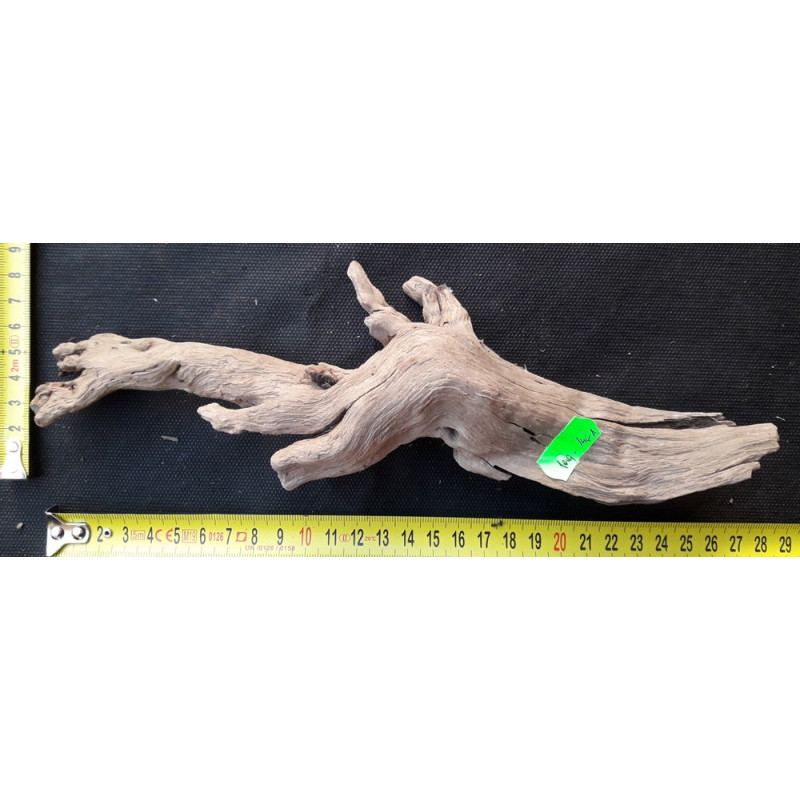 Rašelinový kořen č. 120