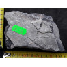 Seiryu stone č. 13