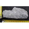 Seiryu stone č. 23