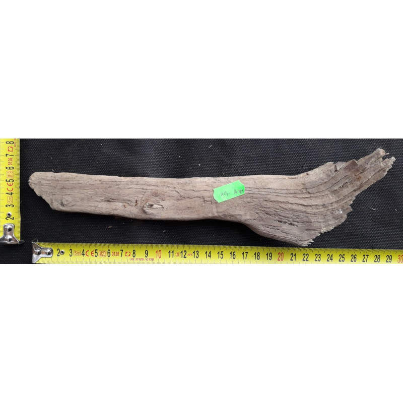 Rašelinový kořen č. 80