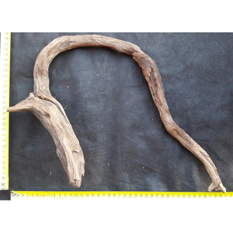 Rašelinový kořen č. 128